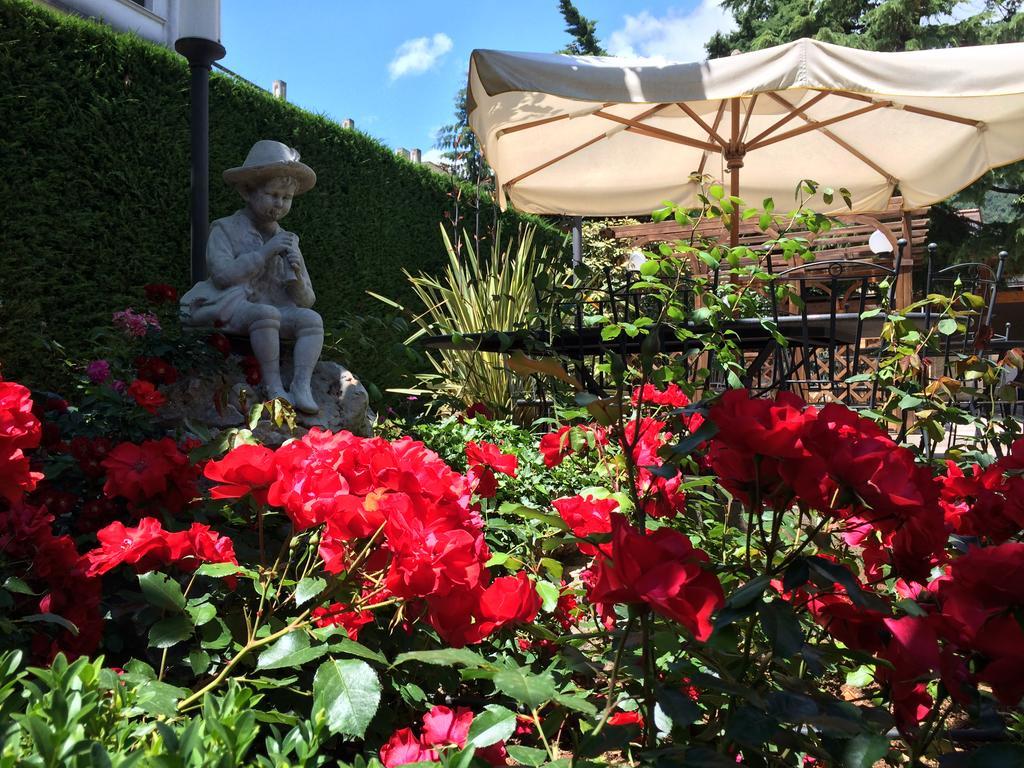 Hotel Parco Delle Rose San Giovanni Rotondo Ngoại thất bức ảnh